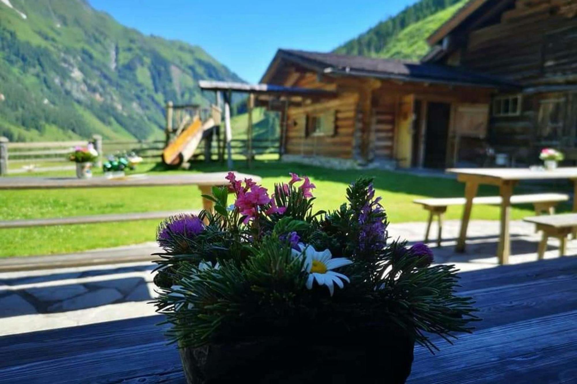 Jana 4 By Smr Rauris Apartments - Inc Spa And Near Gondola Extérieur photo